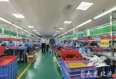 系列故事 汤国康:扎根北流做产业 持续发力助发展