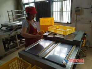 武冈市龙溪镇 家门口的 扶贫工厂 提升脱贫质量